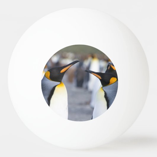 キングペンギン 卓球ボール (裏面)