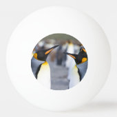 キングペンギン 卓球ボール (正面)