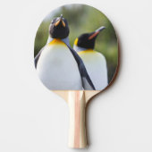 キングペンギン 卓球ラケット (裏面)