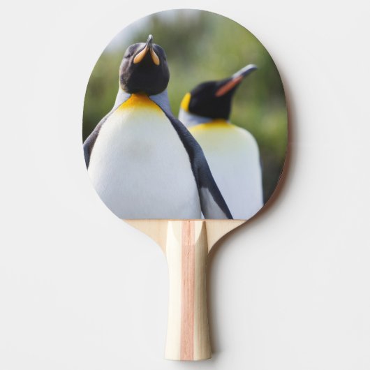 キングペンギン 卓球ラケット (正面)