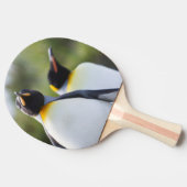 キングペンギン 卓球ラケット (横)