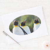 キングペンギン 楕円形シール (封筒)