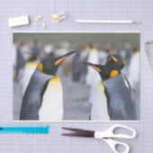 キングペンギン 薄葉紙 (クラフト)