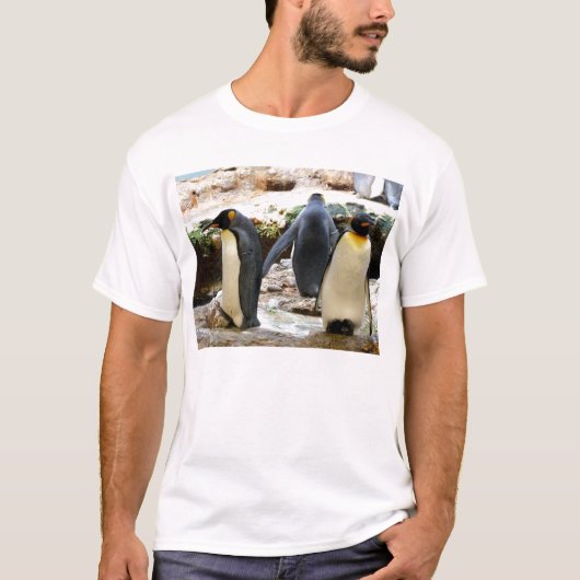 キングペンギン Tシャツ (正面)