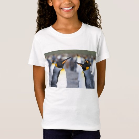 キングペンギン Tシャツ (正面)