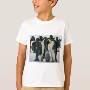 キングペンギンTシャツ Tシャツ