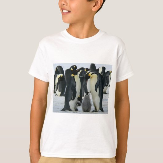キングペンギンTシャツ Tシャツ (正面)