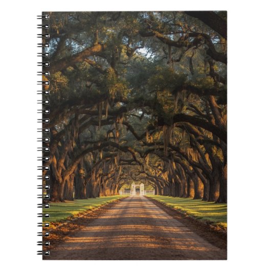 キングランチレザージャーナル - ウェスタンライティング ノートブック (正面)