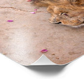 キング落ちた フォトプリント            (角)