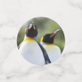 キング誇りを持ったペンギン写真 コンフェッティ (スモール正面)