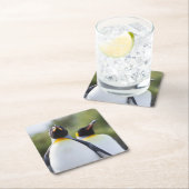 キング誇りを持ったペンギン写真 スクエアペーパーコースター (インサイチュ)