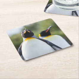 キング誇りを持ったペンギン写真 スクエアペーパーコースター