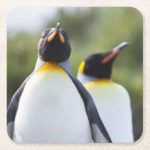 キング誇りを持ったペンギン写真 スクエアペーパーコースター (正面)