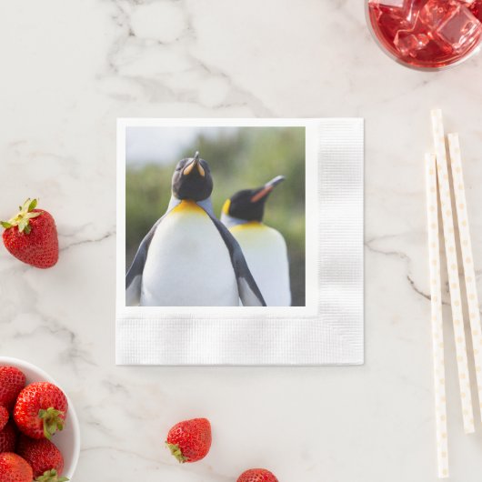 キング誇りを持ったペンギン写真 縁ありカクテルナプキン (インサイチュ)