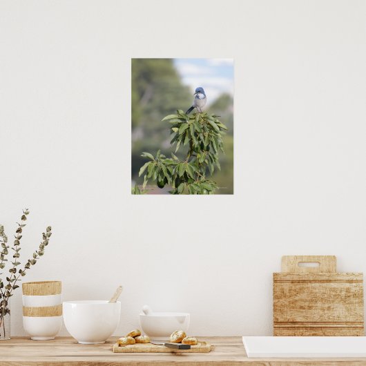 キング・オブ・ザ・ヒル ポスター (キッチン)