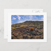 『キング・オブ・ザ・ヒル』 ポストカード (正面/裏面)