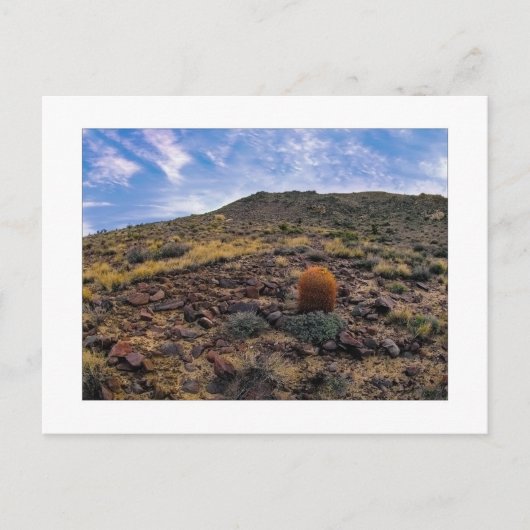 『キング・オブ・ザ・ヒル』 ポストカード (正面)