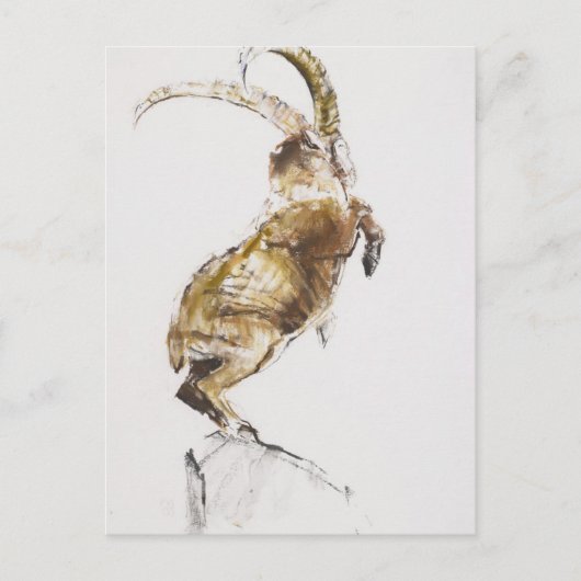 キング・オブ・ザ・マウンテン2005 ポストカード (正面)