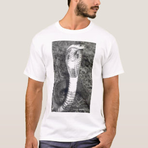 キング・コブラのワイシャツ Tシャツ