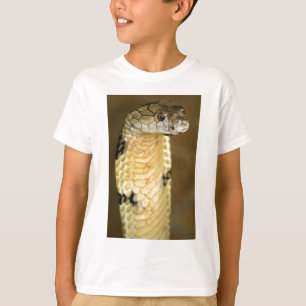 キング・コブラ Tシャツ