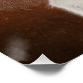 キング・チャールズ・カバリエのポスター ポスター (コーナー)