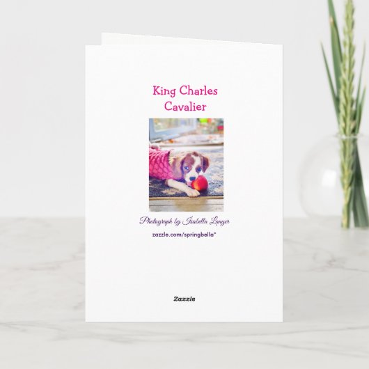 キング・チャールズ・キャバリアの子犬のブランクグリーティングカード カード (裏面)