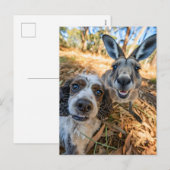 キング・チャールズ・コッカー・スパニエルが世界各地でセルフィーを撮影 シーズンポストカード (正面/裏面)