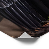 キング・バルチャー ポスター (角)