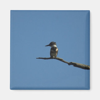 キング・フィッシャー マグネット