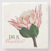 キング·プロテア·ストーン·コースター ストーンコースター (正面)