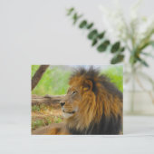 キング ポストカード (スタンド正面)