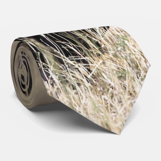 キング・ライオンタイ ネクタイ (ロール)