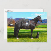 「キング・リチャード」ポストカード ポストカード (正面/裏面)