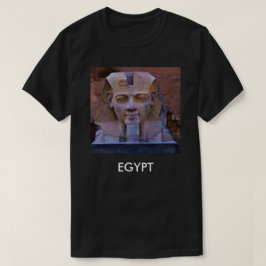 キングTシャツ Tシャツ