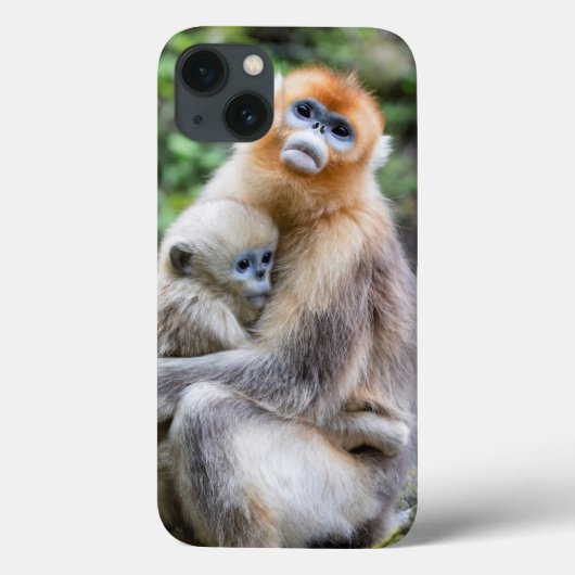 キンシコウ Case-Mate iPhoneケース (裏面)