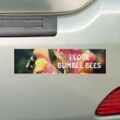 キンシバイの花のマルハナバチ バンパーステッカー (車上)