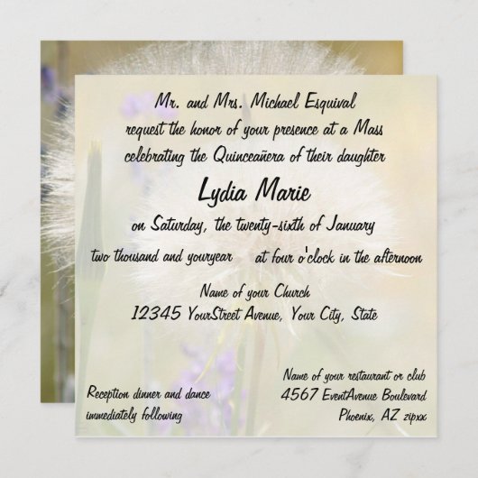 キンセアニェラの誕生日の固まりのタンポポ 招待状 (正面/裏面)