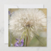 キンセアニェラの誕生日の固まりのタンポポ 招待状 (裏面)