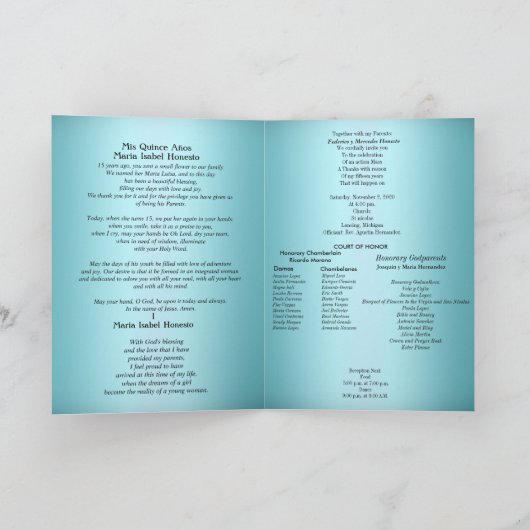 キンセアニェラプログラムティール(緑がかった色)アクアコバルトブルー プログラム (内部)