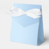 キンセアニラアイスブルーシルバーウィンタースノーフレーク フェイバーボックス (正面サイド)