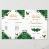 キンセアニラエメラルドフローラ蝶プログラム (正面)