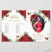 キンセアニラ赤フローラ蝶フォトプログラム (正面)