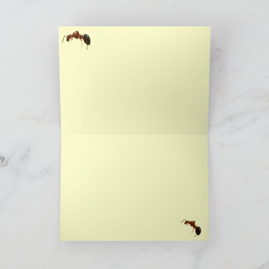 キンセンギクの小さなアリさん、ありがとう サンキューカード (内部)