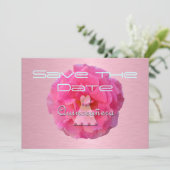 キンチアニエラ 招待状 (スタンド正面)