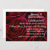 キンチアニエラ 赤いバラの招待状 招待状 (正面/裏面)