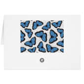 キンチョウ (裏面横)