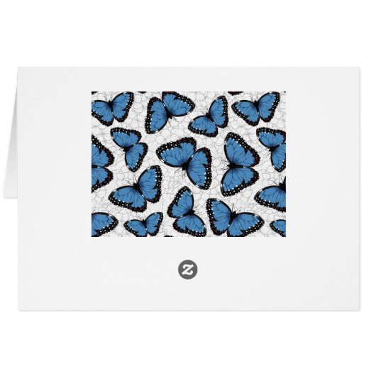 キンチョウ (裏面横)