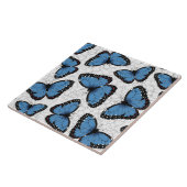 キンチョウ タイル (側面)