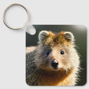 キンティンザジンジャークオッカ、キーリング キーホルダー