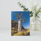 キンバリー ポストカード (スタンド正面)